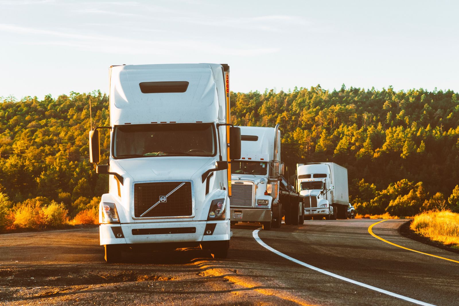 Convoy of three semi trucks driving together on a forest highway
