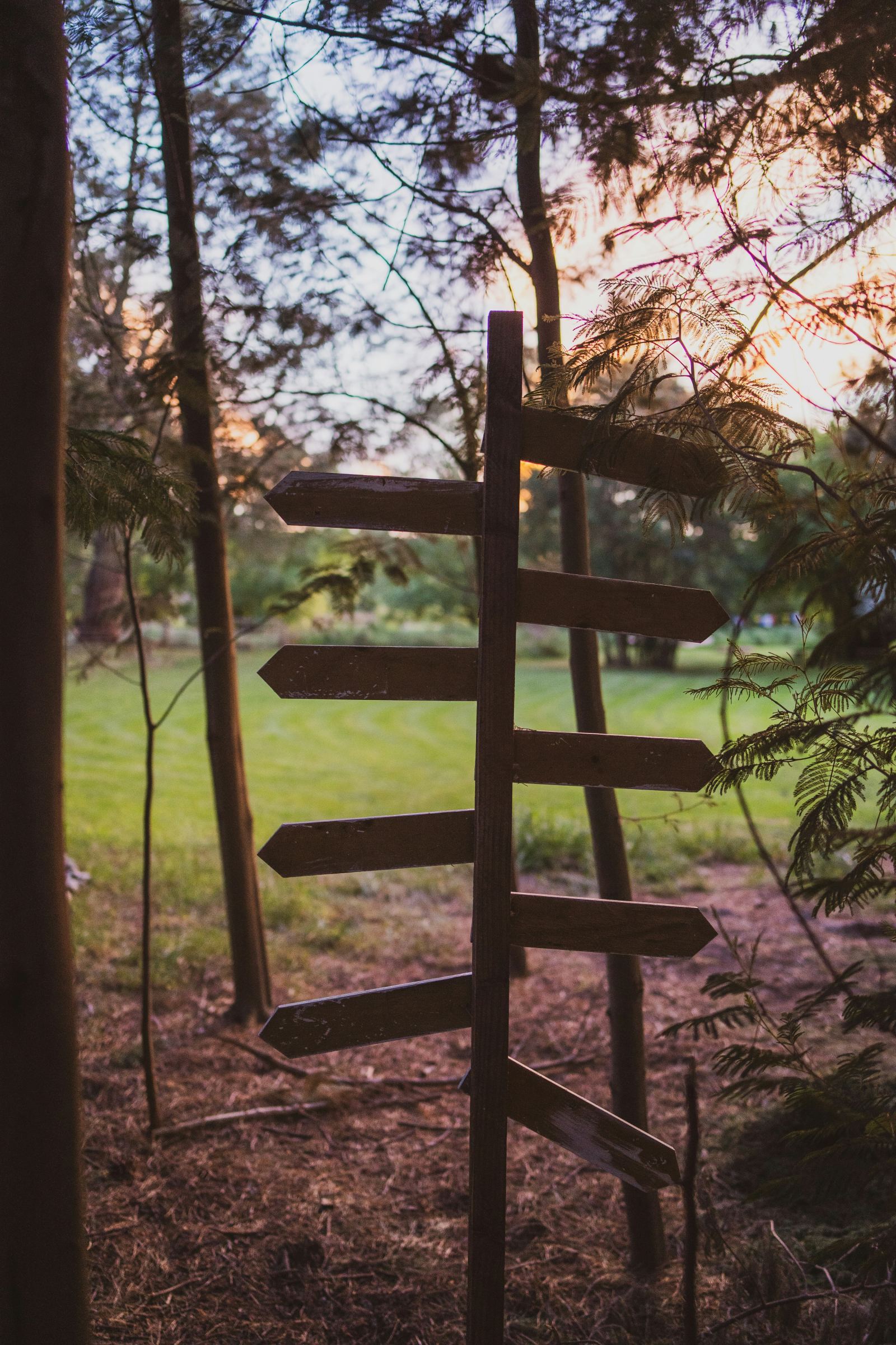 Wooden signpost with multiple directional arrows pointing different ways