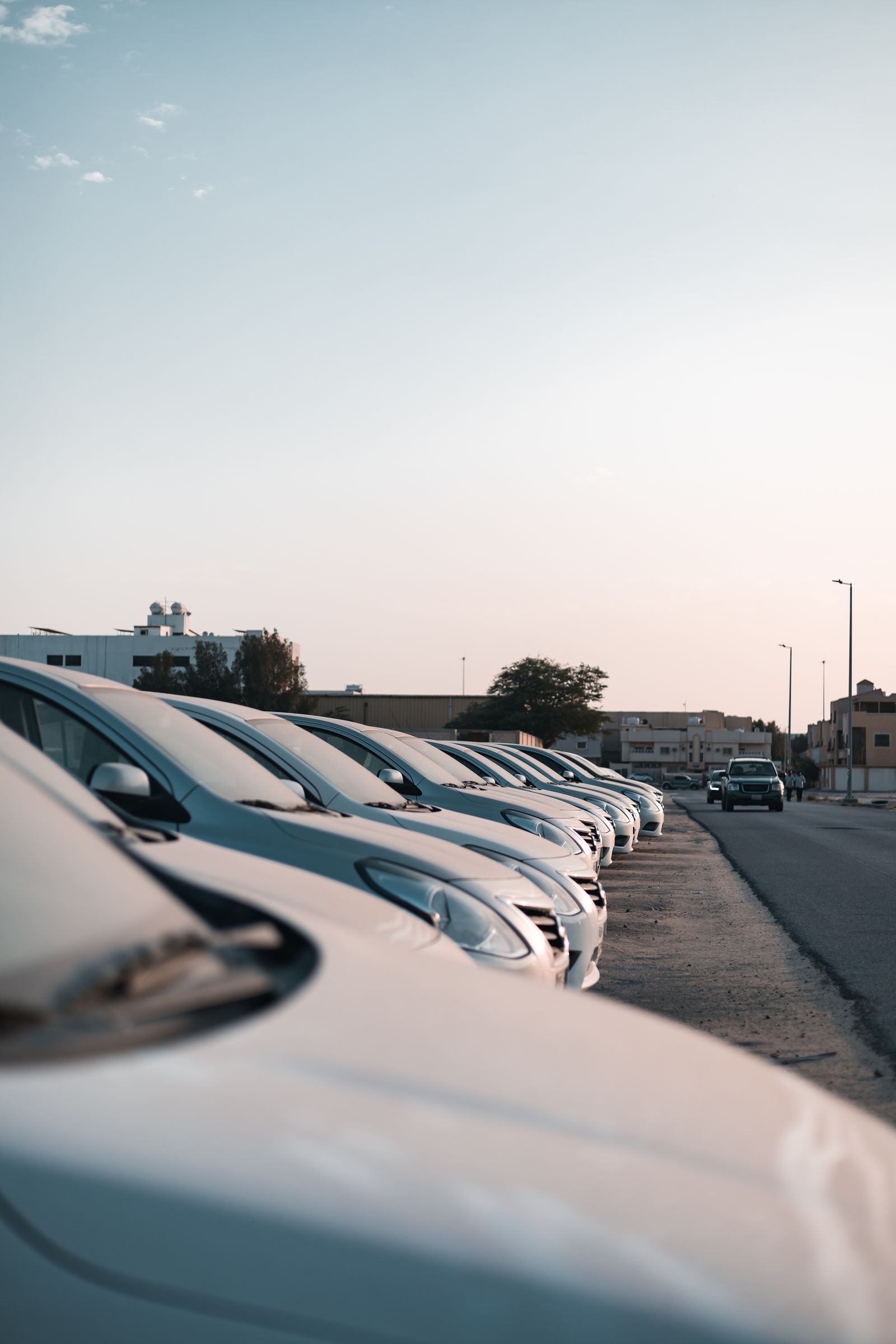 Rows of rental-ready cars parked in a lot at dusk