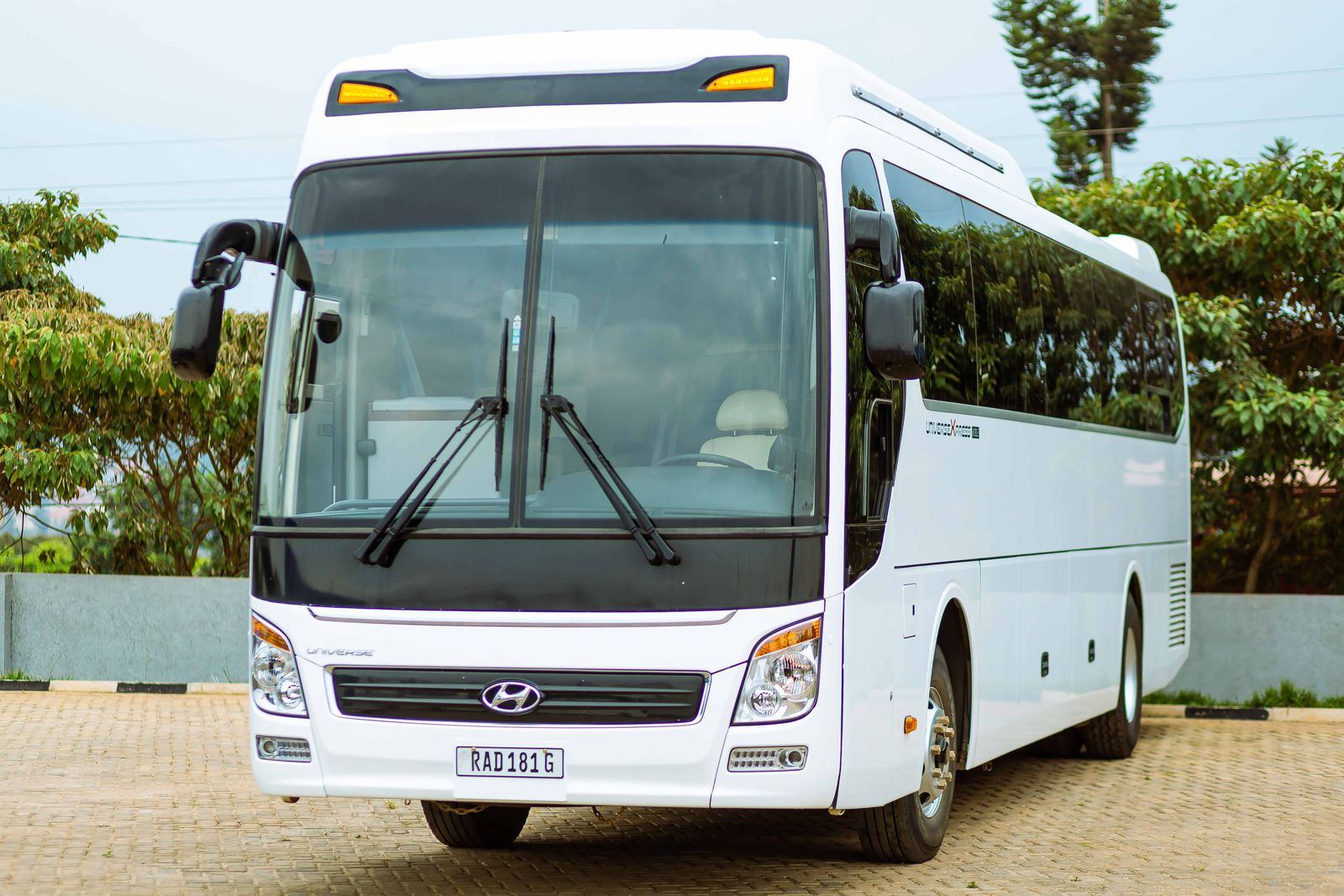 Modern white charter coach bus parked beside trees